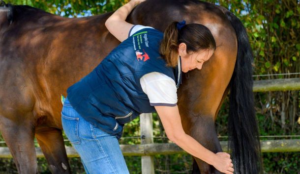 Tierheilpraxis Besuch bei Angela Esser - Tierheilpraktikerin