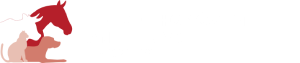 Pferde Homöopathie Anleitung Logo