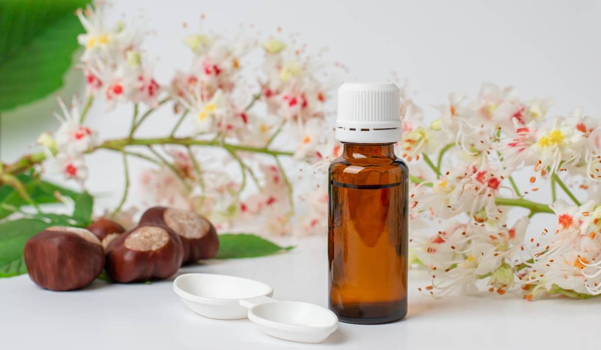 Konstitutionsmittel für Pferde - Pferde Homöopathie Blog