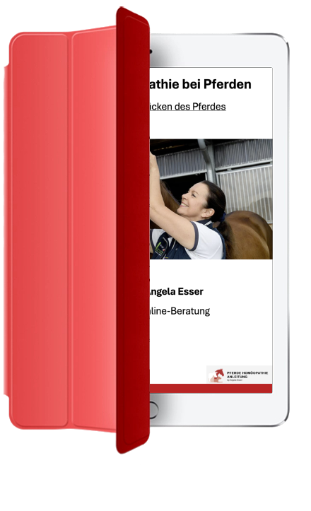 Pferde Homöopathie Anleitung online kaufen