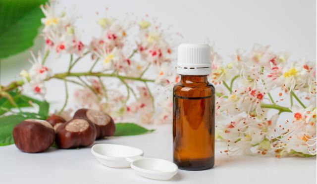 Konstitutionsmittel für Pferde - Pferde Homöopathie Blog