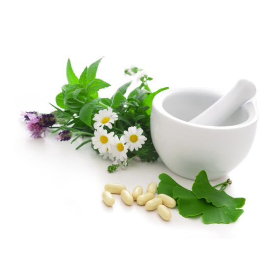 Pferde Homöopathie Beratung - Kontakt